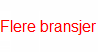 Flere bransjer